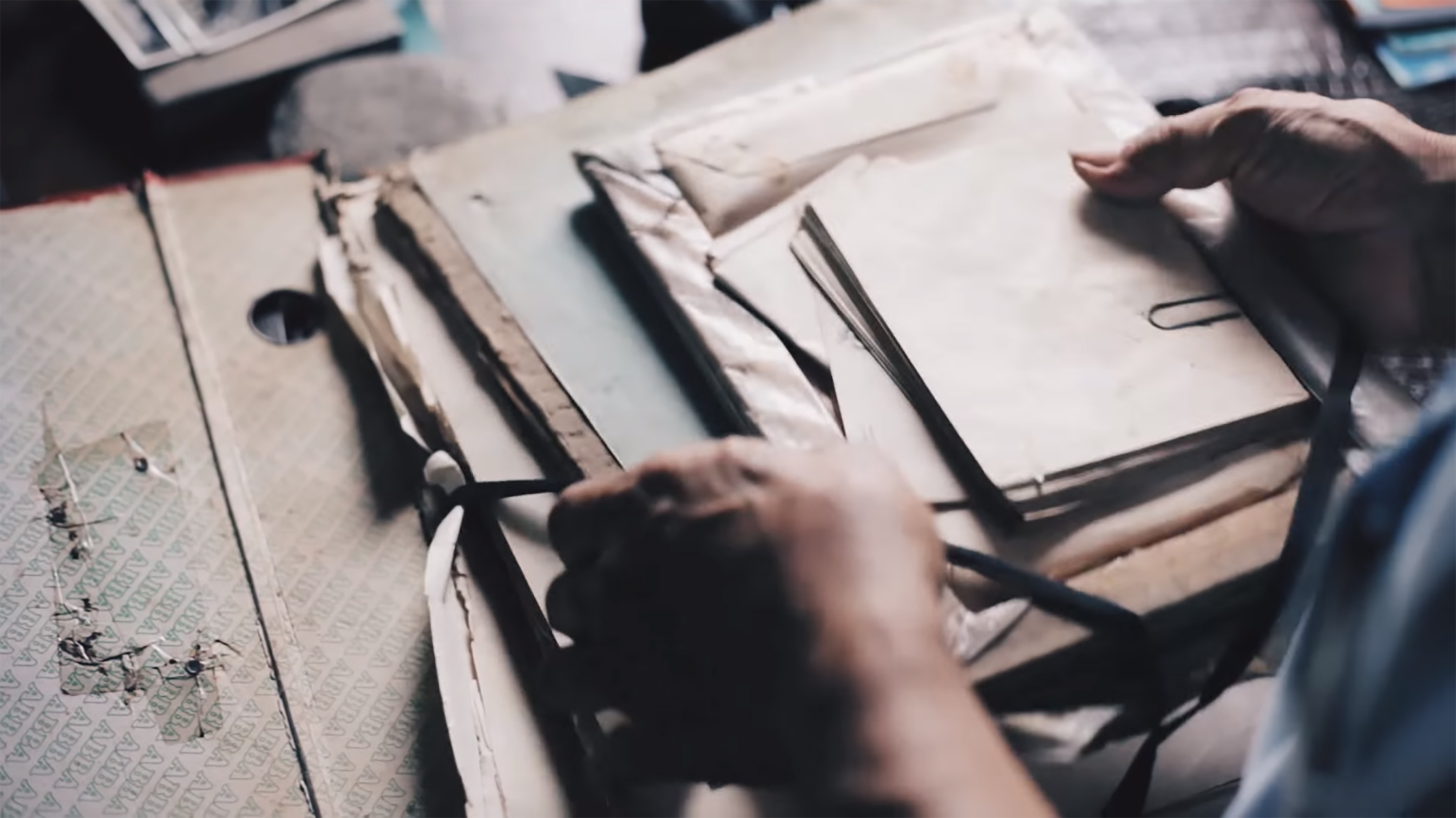 7 Documentos Fiscais Que a Empresa Deve Ter Em Dia img7 - 7 Documentos Fiscais Que a Empresa Deve Ter Em Dia